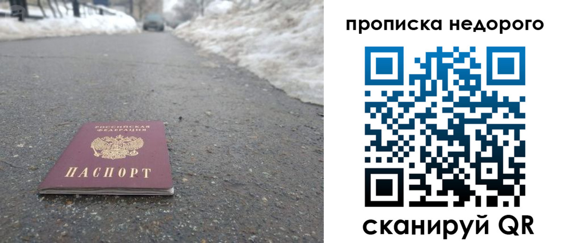прописка в Пушкино